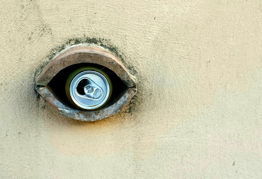 Privacy Settings in Web Browsers That Everyone Ought to Be Familiar With
